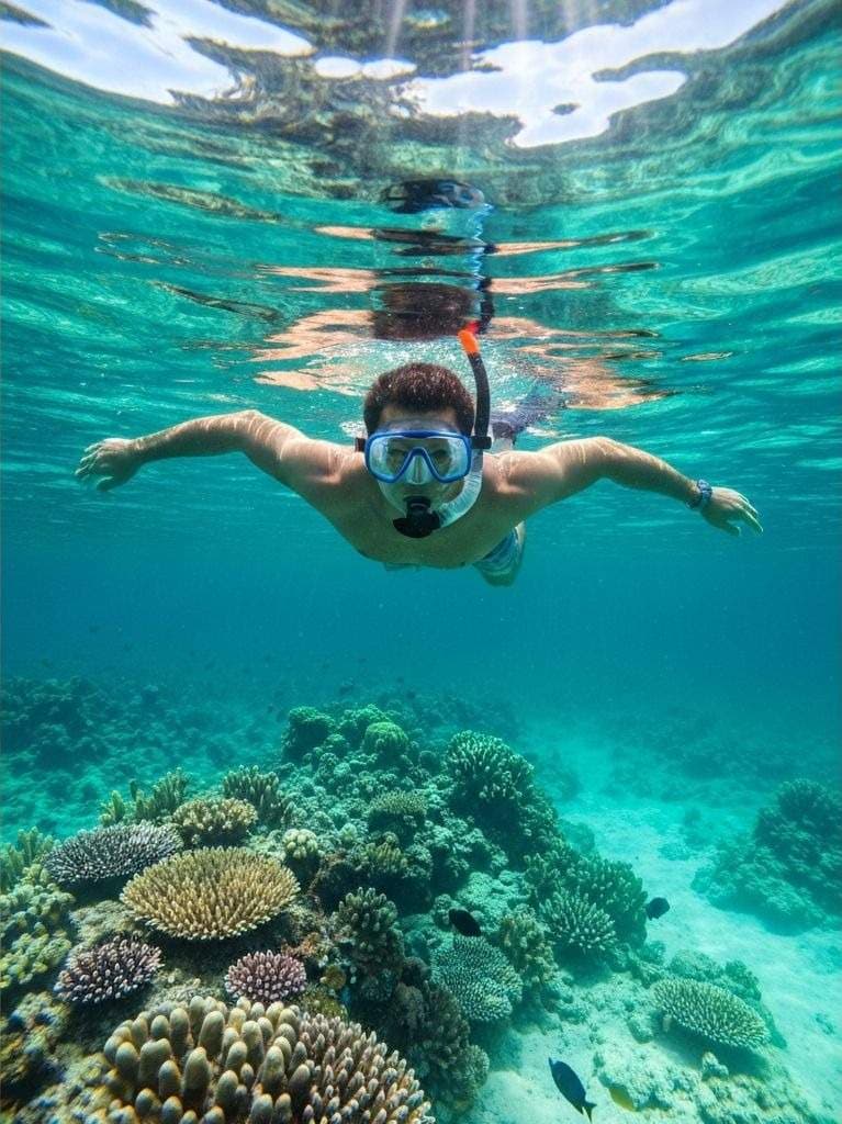 Bohol Balicasag Island Image